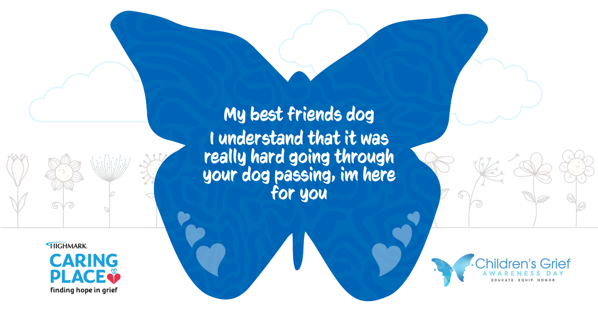 Butterfly dedicated to My best friends dog Illuminating HOPE